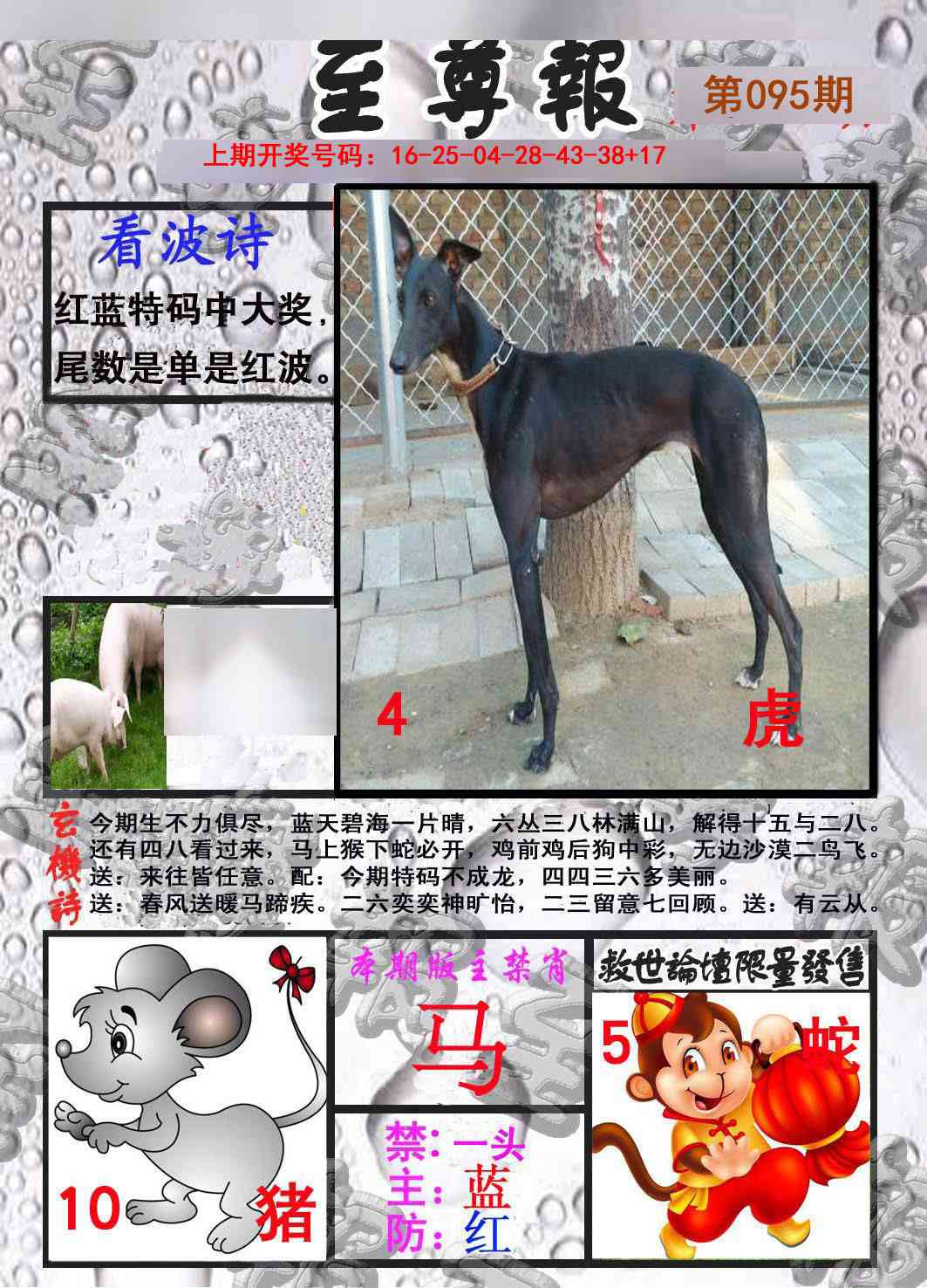 095期至尊报[图]